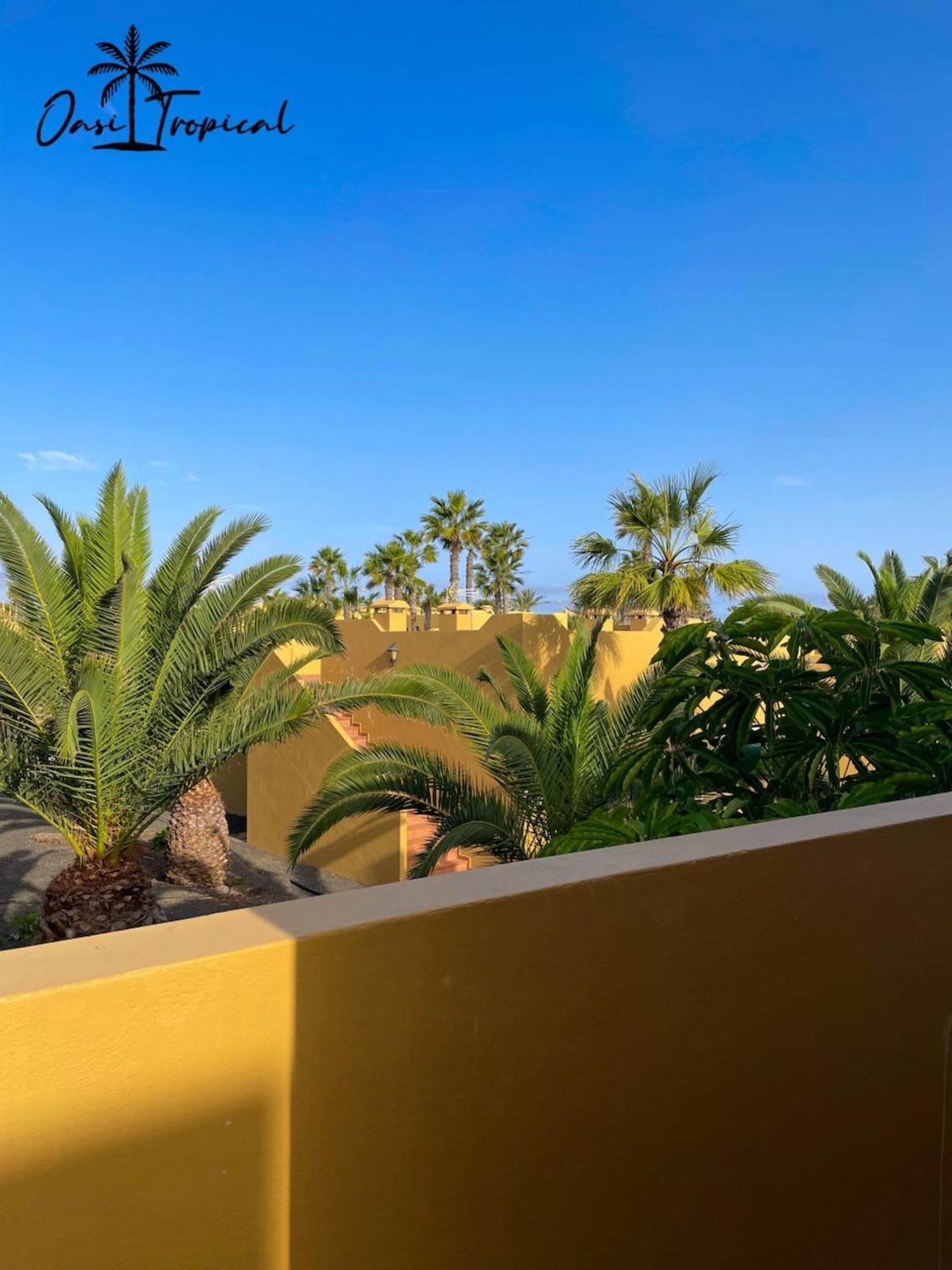 Oasi Tropical Wifi Free By Rentalfue Коралео Екстериор снимка