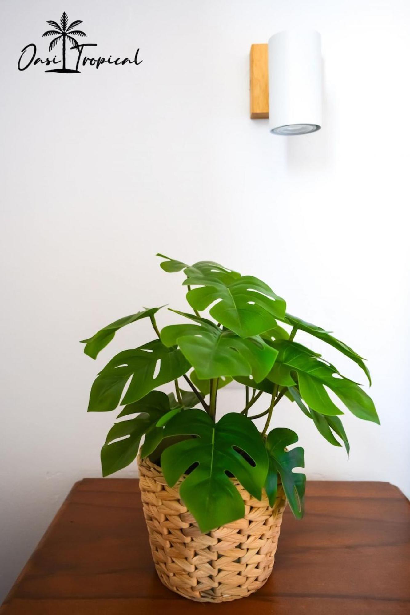 Oasi Tropical Wifi Free By Rentalfue Коралео Екстериор снимка